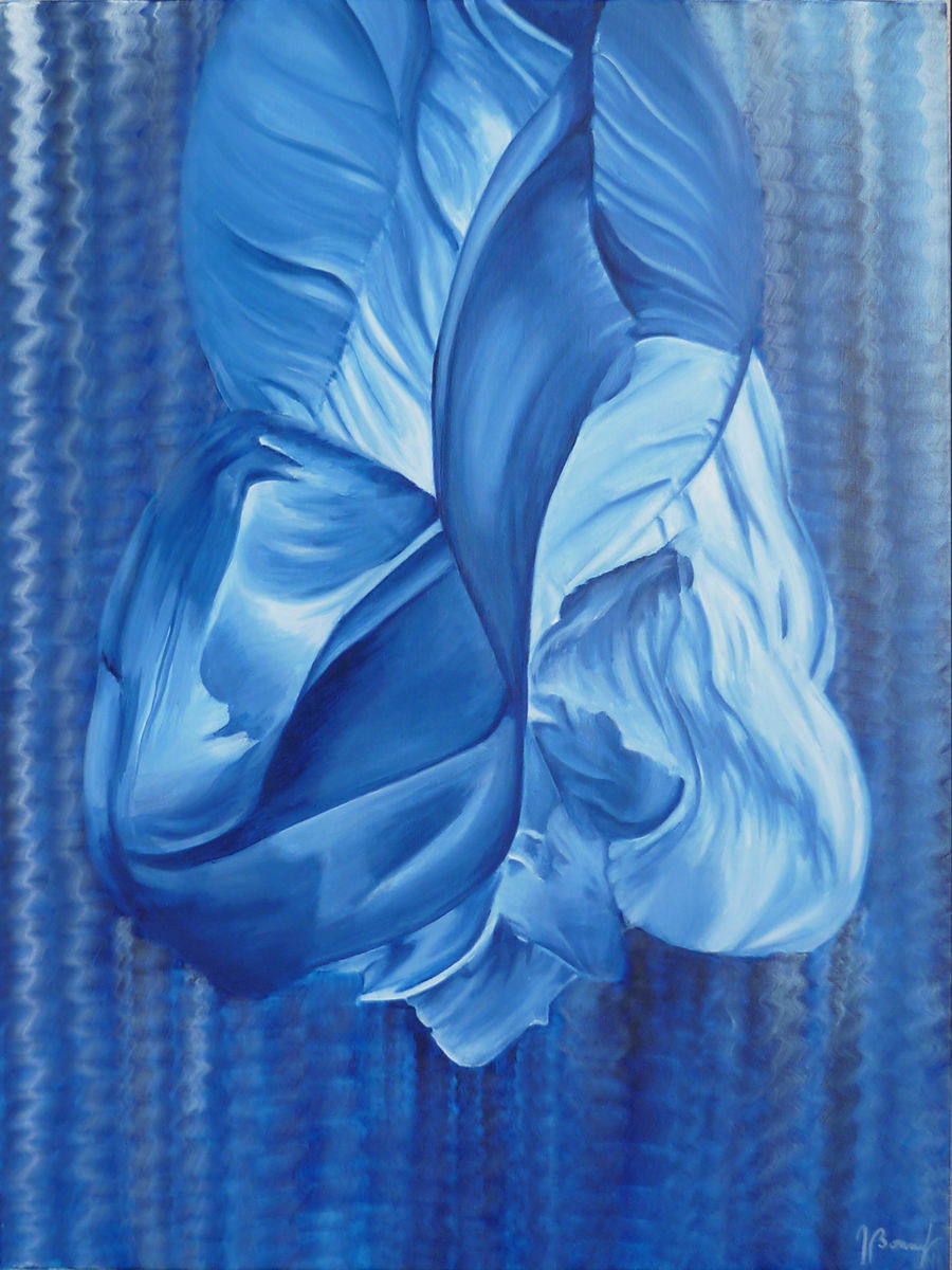 les-fees-papillon-flora.jpg